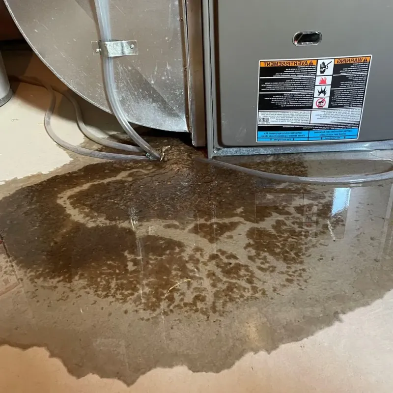 Pipe Burst and Leak Restoration in Upper Arlington, OH